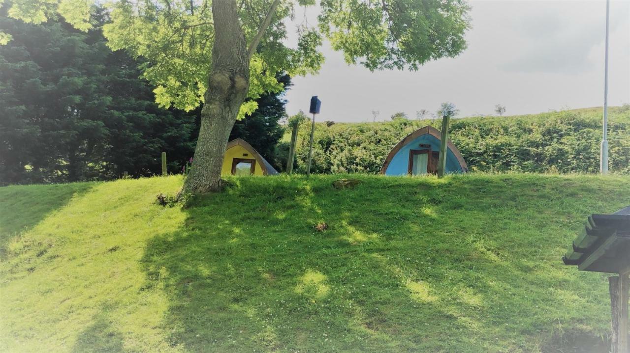Hotel East Coast Adventure Centre Glamping Rostrevor Esterno foto
