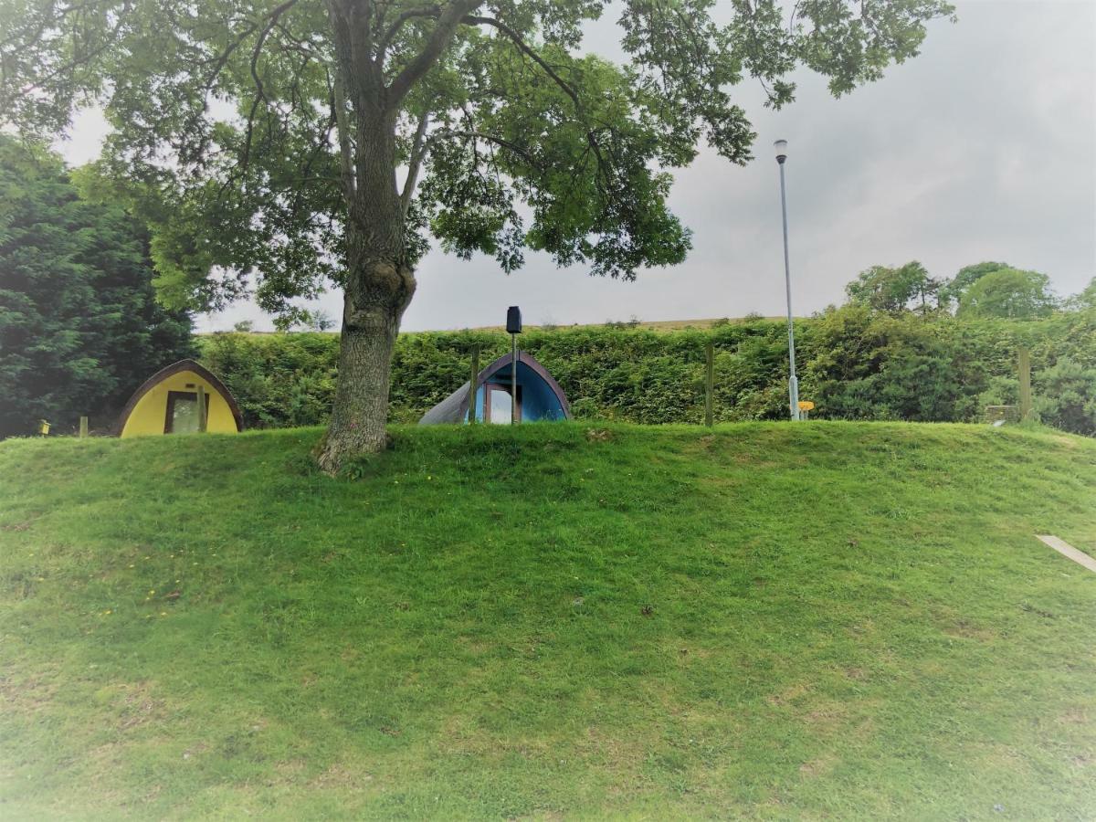 Hotel East Coast Adventure Centre Glamping Rostrevor Esterno foto