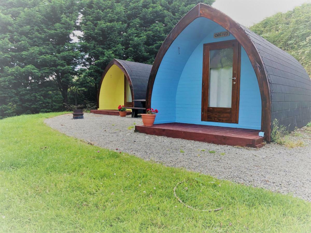 Hotel East Coast Adventure Centre Glamping Rostrevor Esterno foto